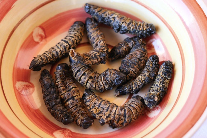 namibia food mopane worms