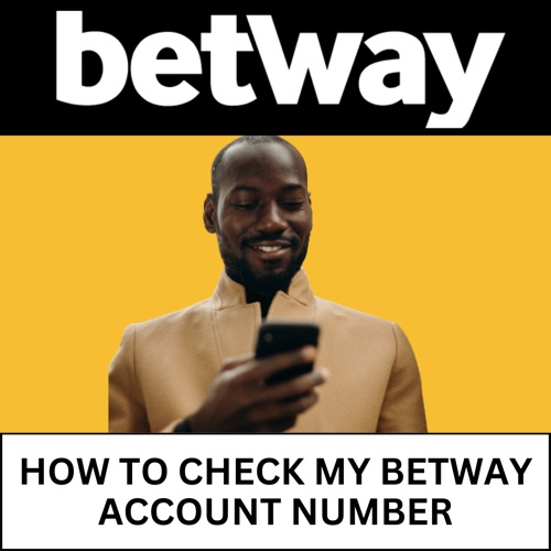 how to check my betway account number